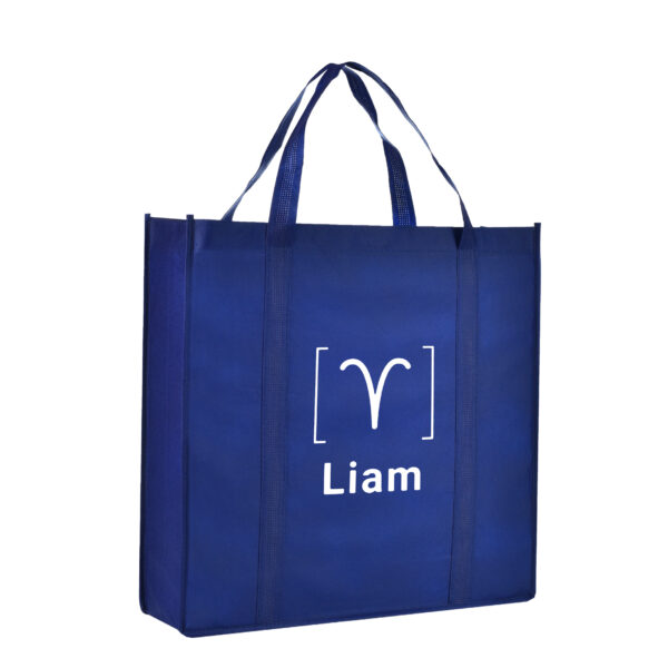 TB05 The Casual Tote Bags - NAVY BLUE