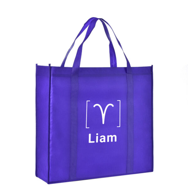 TB05 The Casual Tote Bags - PURPLE